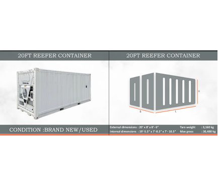 20ft-Reefer-Container